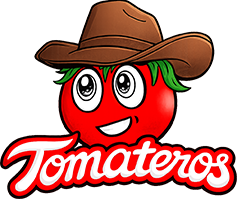 Logo Big